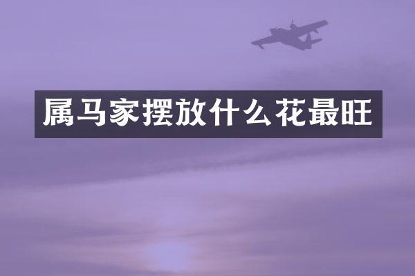 属马家摆放什么花最旺