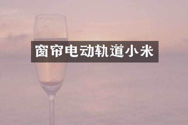 窗帘电动轨道小米