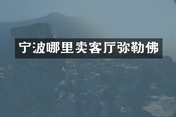 宁波哪里卖客厅弥勒佛