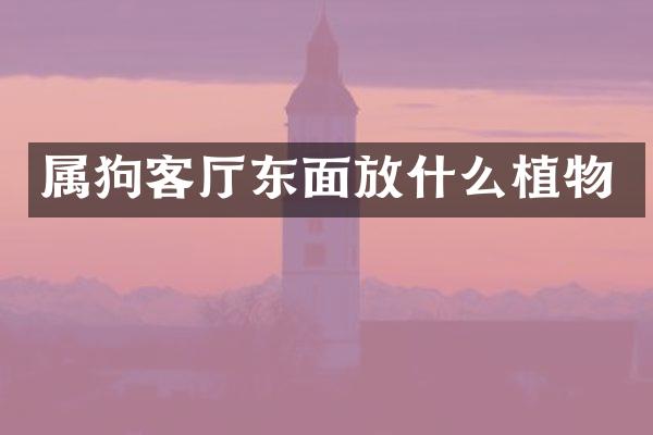 属狗客厅东面放什么植物