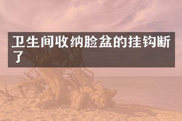 卫生间收纳脸盆的挂钩断了