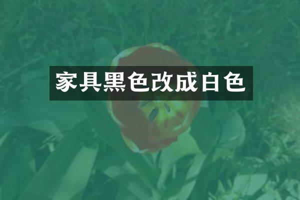 家具黑色改成白色