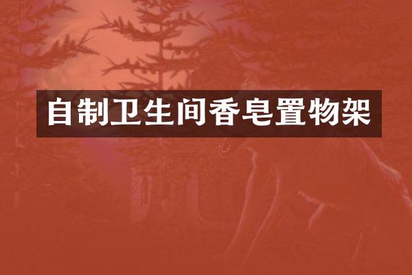 自制卫生间香皂置物架