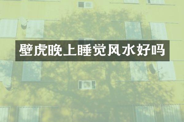 壁虎晚上睡觉风水好吗