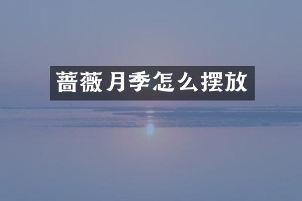 蔷薇月季怎么摆放