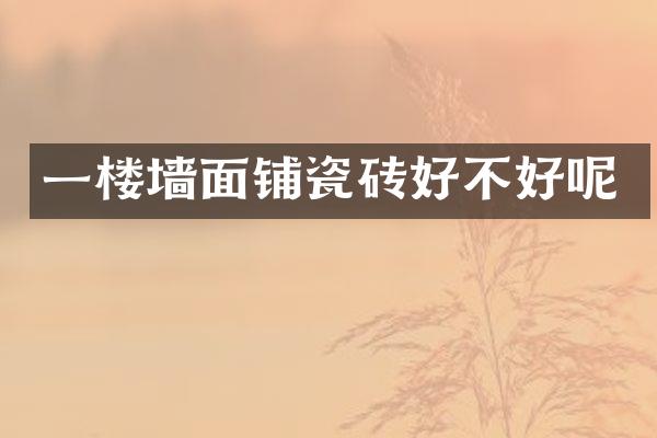 一楼墙面铺瓷砖好不好呢