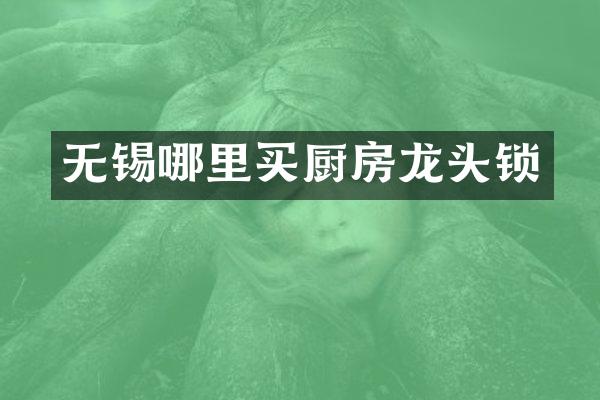 无锡哪里买厨房龙头锁