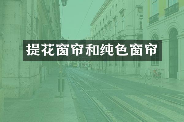 提花窗帘和纯色窗帘