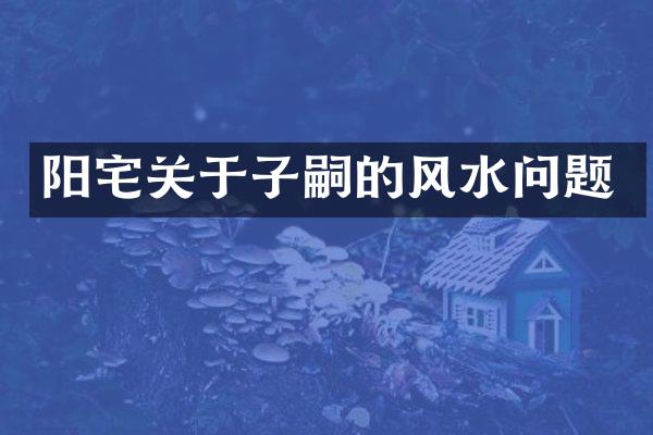 阳宅关于子嗣的风水问题
