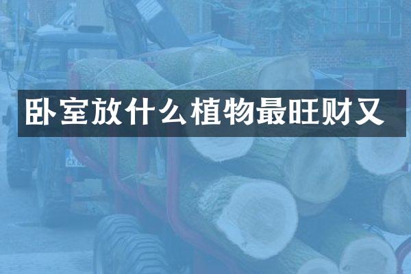 卧室放什么植物最旺财又