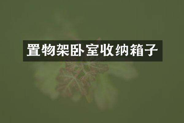 置物架卧室收纳箱子