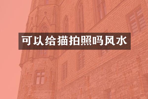 可以给猫拍照吗风水