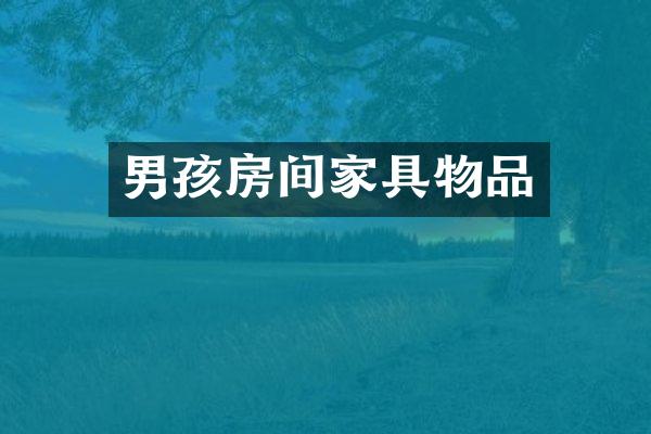 男孩房间家具物品