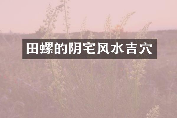 田螺的阴宅风水吉穴