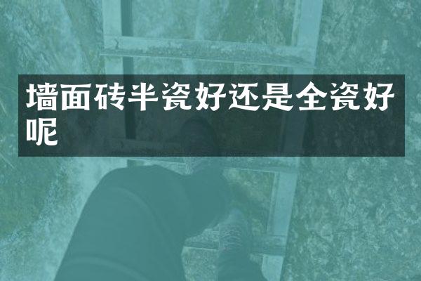 墙面砖半瓷好还是全瓷好呢