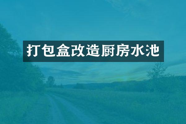 打包盒改造厨房水池