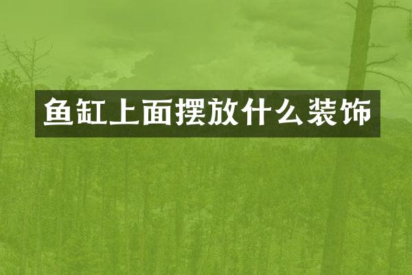 鱼缸上面摆放什么装饰