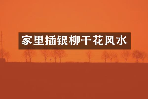 家里插银柳干花风水
