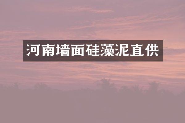 河南墙面硅藻泥直供