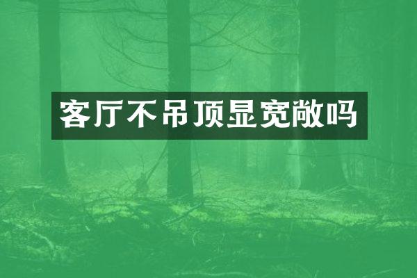 客厅不吊顶显宽敞吗
