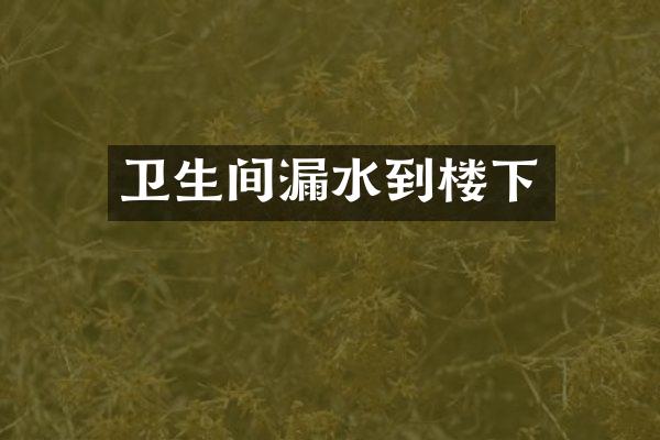 卫生间漏水到楼下