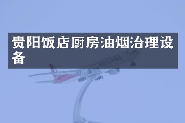 贵阳饭店厨房油烟治理设备
