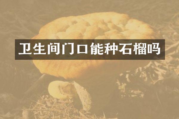 卫生间门口能种石榴吗