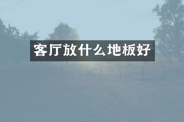 客厅放什么地板好