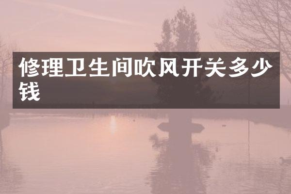 修理卫生间吹风开关多少钱