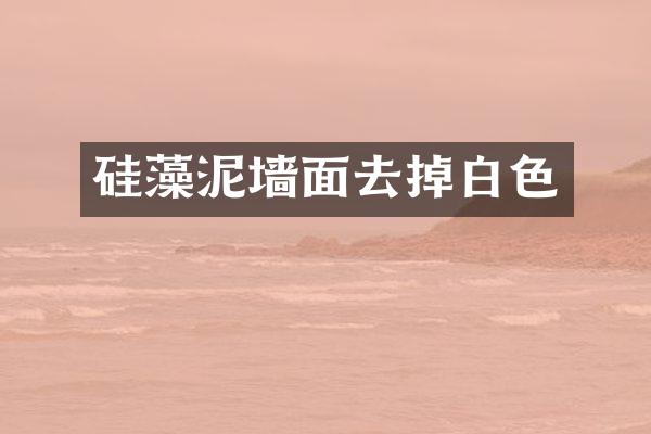 硅藻泥墙面去掉白色