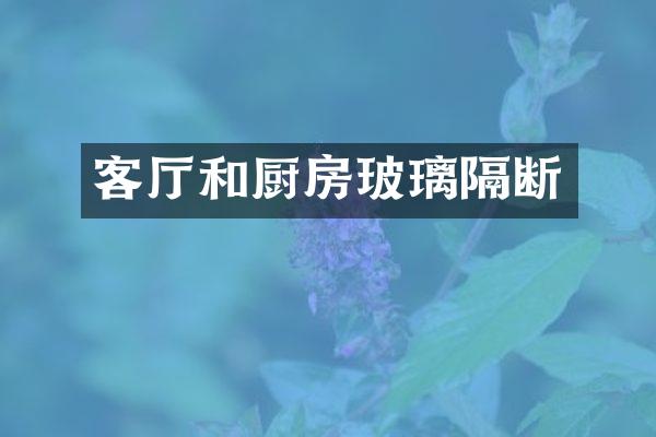客厅和厨房玻璃隔断