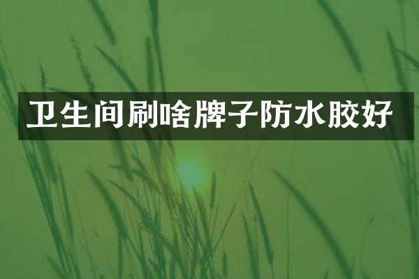 卫生间刷啥牌子防水胶好