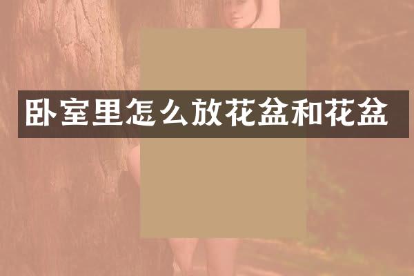 卧室里怎么放花盆和花盆