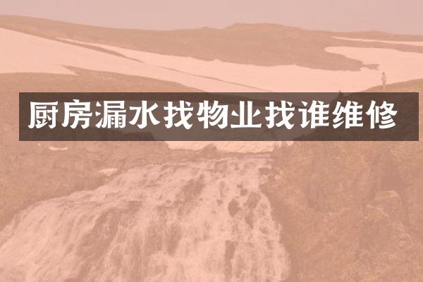 厨房漏水找物业找谁维修