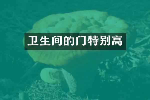 卫生间的门特别高