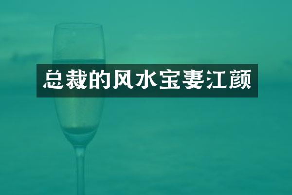 总裁的风水宝妻江颜