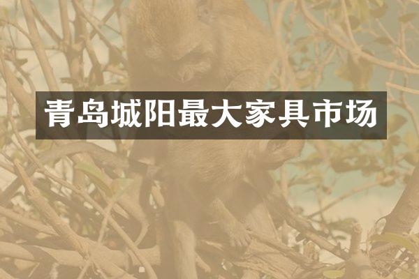 青岛城阳最大家具市场
