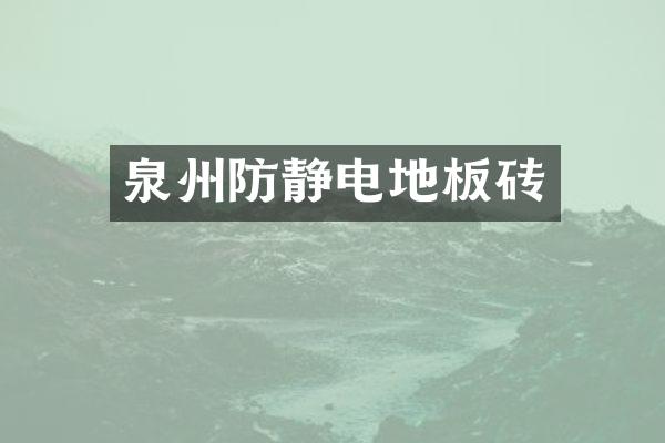 泉州防静电地板砖