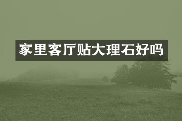 家里客厅贴大理石好吗