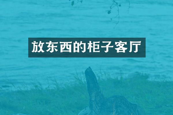 放东西的柜子客厅