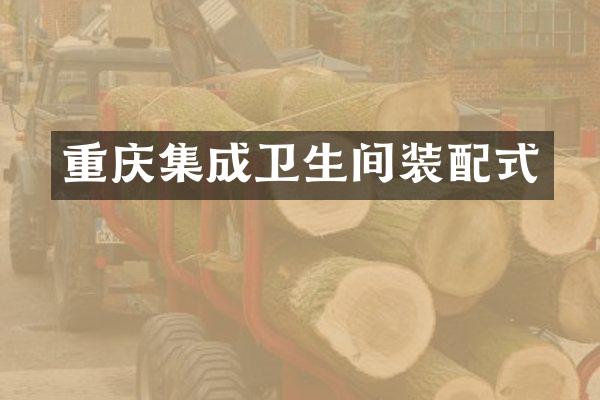 重庆集成卫生间装配式