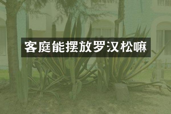 客庭能摆放罗汉松嘛