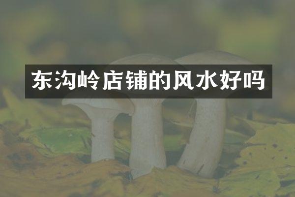 东沟岭店铺的风水好吗