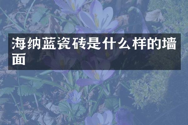 海纳蓝瓷砖是什么样的墙面