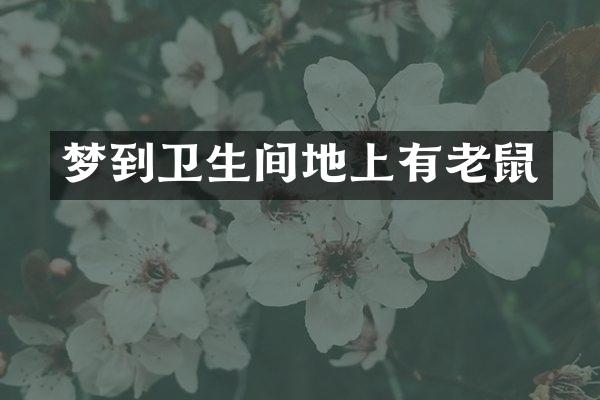梦到卫生间地上有老鼠