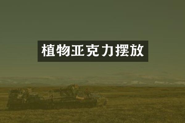 植物亚克力摆放
