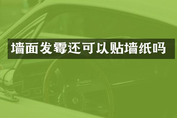 墙面发霉还可以贴墙纸吗