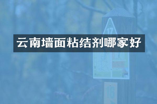 云南墙面粘结剂哪家好