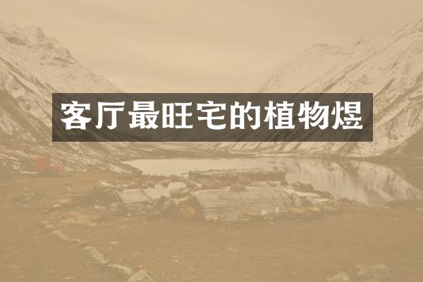 客厅最旺宅的植物煜