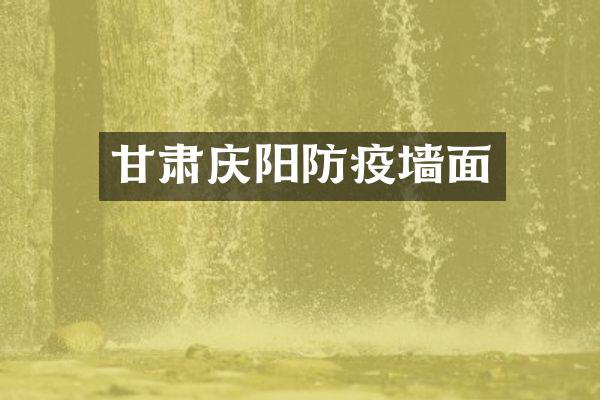 甘肃庆阳防疫墙面